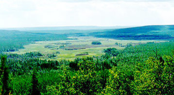 The site of the 1908 Tunguska Event 90 years later